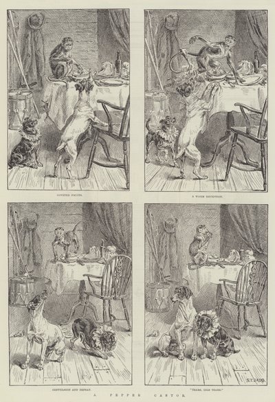 A Pepper Castor by S.T. Dadd